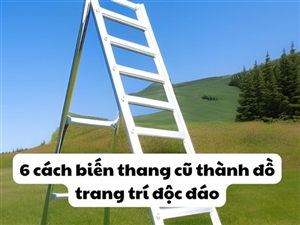 6 cách biến thang cũ thành đồ trang trí độc đáo