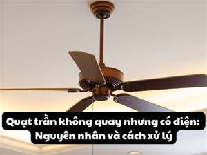 Quạt trần không quay nhưng có điện: Nguyên nhân và cách xử lý